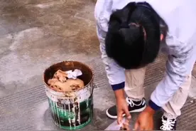 最简单实用的多肉土，蜂窝煤煤渣，记得把粉末洗掉，我师傅用这个方法种七年肉肉了，如需要可以加点肥😁@纳西大叔视频封面
