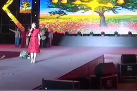 重温经典老歌《崖畔上开花》演唱:王二妮#陕北民歌 #演出现场 #王二妮视频封面