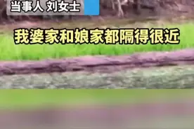 有情有义！娘家的狗狗每天到婆婆家探望女子，网友：这也算是娘家人了视频封面
