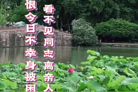 #黄梅戏党的女儿 #严凤英大师1964年路的#手机制作教学 #超极年轻加速度 @抖音短视频 @DOU+小助手视频封面