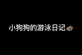 不是所有狗狗天生都会游泳的，要循序渐进呦～#比熊 #泰迪视频封面