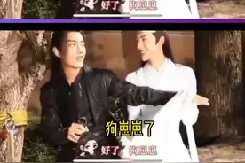 狗崽崽在重庆是小宝贝的意思，博弟早就是战哥的宝贝了#肖战#王一博#狗崽崽王一博 #战山为王