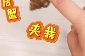 寄居蟹居然夹我！？原来劲儿这么大！我都不想养了，因为…#萌宠出道计划 #寄居蟹 #仓鼠 #宠生第一次视频封面