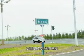 你知道呼和浩特新城区这些地名的由来吗？#呼和浩特视频封面