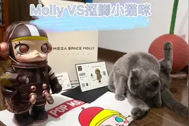 开箱大吉 第一只MOLLY 虽然不是原价买的 抢不到哭了视频封面