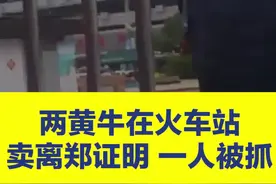 两黄牛在火车站东广场给旅客办理违规离郑证明，一人被抓，目前案件正在进行中#黄牛在火车站卖离郑证明被抓 视频封面