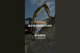“挖掘机指数”显示投资加快经济向好#挖掘机指数#基建#经济向好视频封面
