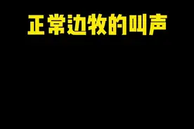 卡卡的叫声真的有把我震惊到#萌宠 #边牧 #宠物公园  视频封面