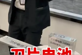 比亚迪刀片电池到底多厉害！快看这里#汽车人共创计划 #刀片电池 @抖音汽车视频封面