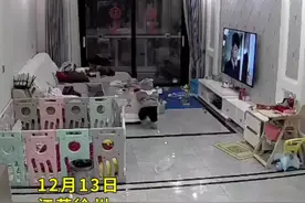 10个月大的弟弟突然会走路 哥哥看见后反应亮了 网友：兄弟情深@涵👬堂成长记 视频封面