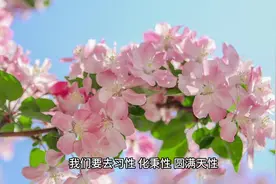 神满不思睡、精满不思淫，如何改变自己#中医 #养生视频封面