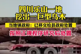 四川乐山一地挖出疑似乌木，镇政府：已移交县政府处置（极目新闻）视频封面