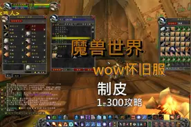制皮 #魔兽世界  #魔兽魔兽世界怀旧服