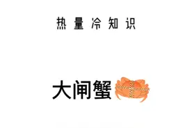 昨天中秋节，大家吃了几只大闸蟹啊？#减肥 #热量冷知识 #减脂 #大闸蟹 
