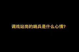 调戏站岗的哨兵是什么心情？#抖来学法视频封面