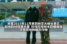 1月14日，西藏林芝。#男子5A景区自给自足隐居6年，民警帮解决手机购买、做核酸后劝返。网友：强过贝爷！视频封面