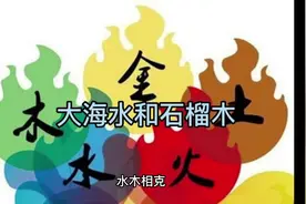 大海水配石榴木视频封面