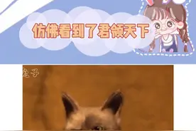 小小年纪，有了老者的风范！#小学生 #诗朗诵 视频封面