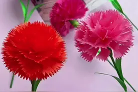 母亲节就要到了，用最简单的方法做最好看的康乃馨送给妈妈，祝妈妈生日快乐！#手工#抖音潮流东方季 #母亲节 #康乃馨#手工diy #礼物 #母亲节快乐 @抖音青少年 @抖音短视频视频封面