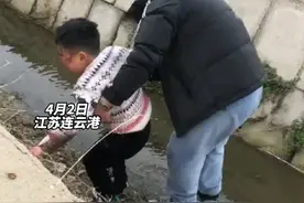 男孩骑自行车冲进臭水沟大哭，妈妈在一旁哈哈大笑，爸爸舀臭水沟里的水给娃娃洗脸视频封面