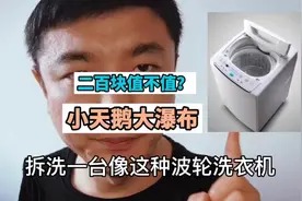看完后，您觉得两百元值吗？#小天鹅大瀑布 #中视频伙伴计划视频封面