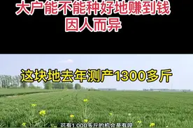 包地大户能取得高产吗，因人而异，你认为呢？#来抖音学农技 #新农人计划2022 #华成865 #久幺久 #小麦种植视频封面