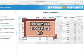 汇算清缴：职工薪酬支出纳税调整明细表#会计实操 #零基础学会计视频封面