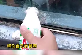 5月10日山东烟台，猩猩自带吸管喝游客饮料，网游：疫情期猩猩也注意卫生。视频封面