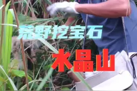 荒山野岭，水晶成山！#户外 #寻宝 #挖宝石 #挖水晶 #户外捡石 #捡石头 #矿物晶体 #矿物标本视频封面