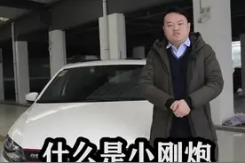 什么是小钢炮视频封面