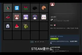 STEAM是什么#科学小实验 #亲子实验 #steam科学实验视频封面