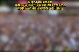 黑红金，这是德国的颜色。
这面旗帜，不仅出现在国家活动中视频封面