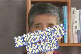 #养生 #中医 五脏的位置和功能简短易懂版😗专业版晚些发视频封面