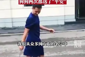 在消防队蹭空调的小奶狗有名字了！消防队为流浪小奶狗在线征名，狗狗自己选了两次，都是“平安”！@资阳消防#狗狗#消防员 视频封面