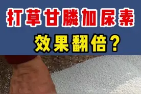 #创作灵感 用草甘膦除草，加点尿素效果翻倍？告诉你原理#农技科普大赛 #新农人计划2022 #来抖音学农技 #农家值丰年 视频封面