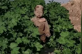 萌娃满身是泥 跌跌撞撞的从地里走出来 网友：以为是兵马俑出土了#玩泥巴的最高境界 #兵马俑 #奇闻奇事 视频封面