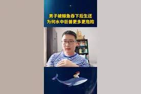 男子被鲸鱼吞下后生还，为何水中巨兽更多更危险#美国男子被鲸鱼吞下生还 #动物 @DOU+小助手视频封面