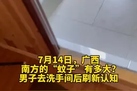 南方的蚊子到底有多大，男子去洗手间后刷新认知…视频封面