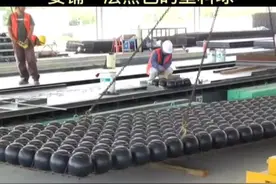 #德国人盖房时为什么要铺一层黑色的塑料球？视频封面