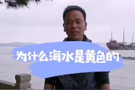 黄色的大海#普陀攻略#魅力舟山 #网红导游视频封面