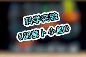吃不完的胡萝卜做个浮力小船，太好玩了#趣味实验 #每日亲子游戏 视频封面