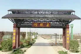 姜嫄村：产业有活力 日子有“甜”头 #乡村振兴视频封面