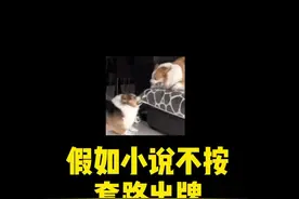 假如小说都不按常理出牌，你绝对猜不到结局系列！#小说 #番茄小说视频封面