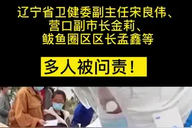 辽宁省卫健委副主任宋良伟、营口副市长金莉、鲅鱼圈区区长孟鑫等，被问责！视频封面