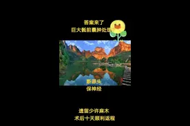 #骶管囊肿 骶前巨大囊肿的微创处理#先进医学科学技术惠民行 #神经根重建磁共振 术后十天患友顺利返程#治愈视频封面