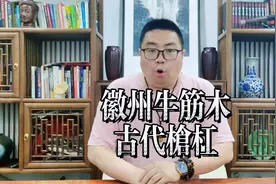 第112集 #徽州 有种牛筋木，那可是做qiang杆的上上品#歙县