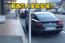 每年都有人开车到处“捡破烂”，也算是一种环保吧 #新西兰 #vlog日常 #环保 #废物利用变废为宝视频封面