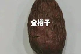 金樱子，中药名。为蔷薇科植物金樱子Rosa laevigata Michx.的干燥成熟果实。具有固精缩尿，固崩止带，涩肠止泻之功效。常用于遗精滑精，遗尿尿频，崩漏带下，久泻久痢。#中医#中药##漯河中医 视频封面
