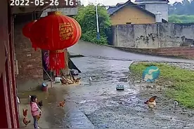 监控下心酸一幕，放学女儿进不了家门哭喊奶奶，父亲：恨不得马上启程回家。#留守儿童 【来源@阿强用户 4523928695629】视频封面