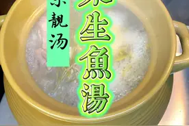 塘葛菜生鱼汤 广东靓汤 #塘葛菜 #塘葛菜生鱼汤 #广东靓汤#为你煲汤    视频封面